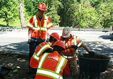 Design-Build Win for Contract D900036, Region 8 Bridge Replacement (Westchester County), PIN 8BOW.0F