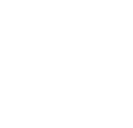 Bridge & Structural